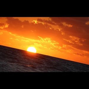 Meet your Posher, Arianna